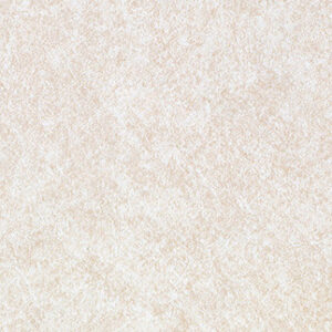 Beige Pampas