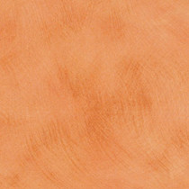 Karratha Brush