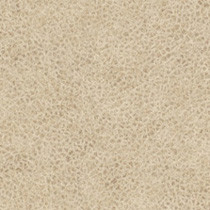Western Suede