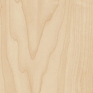 Manitoba Maple