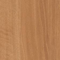 Brazilwood