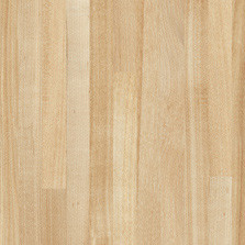 Truss Maple