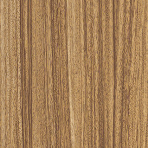 Zebrawood