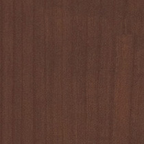 Persian Cherry