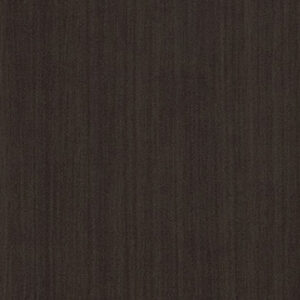 Ebony Recon