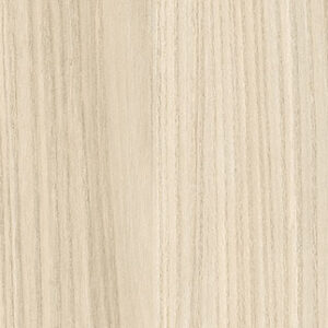 Field Elm