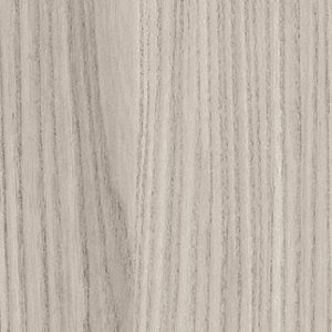 Grey Elm