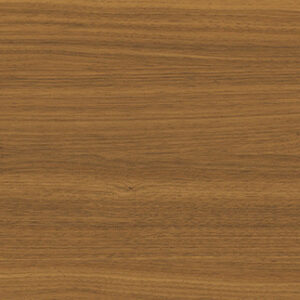 Sap Walnut