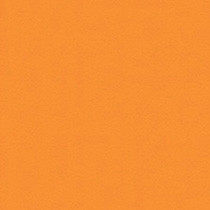 Orange Grove