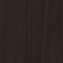 Afromosia Cameroon