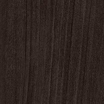 Noir American Elm