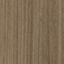 Sulawesi Hazel