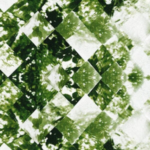 Canopy