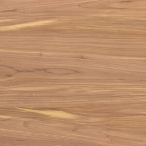 Cedar